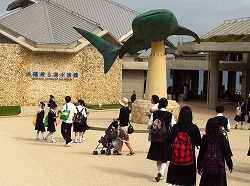 20110509_03.jpg