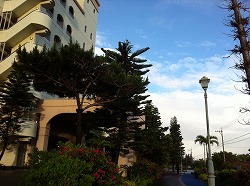 20110511_01.jpg