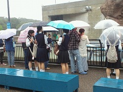 20110902_04.jpg