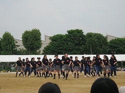 20120602_h305.jpg