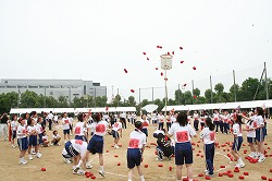 20120602_m101.jpg