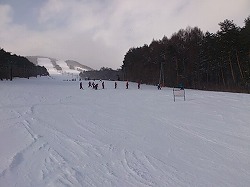 20130110_12.jpg