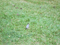 20130805_07.jpg