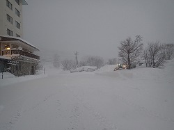 20150201_001.jpg