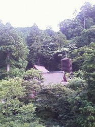 20110730_01.jpg