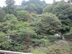 20110731_04.jpg