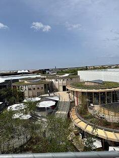 IMG_9180.jpg