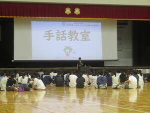 IMG_3762.JPG