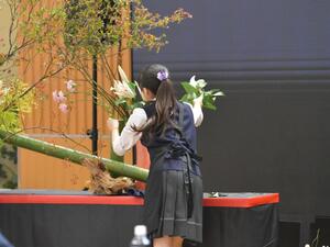 DSC_1740.JPG